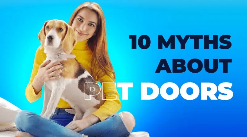 Pet Gate with Door