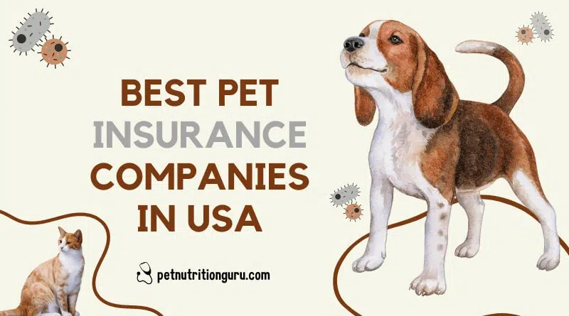 Best Pet Insurance Companies in the USA