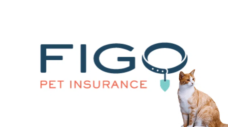 Figo Insurance