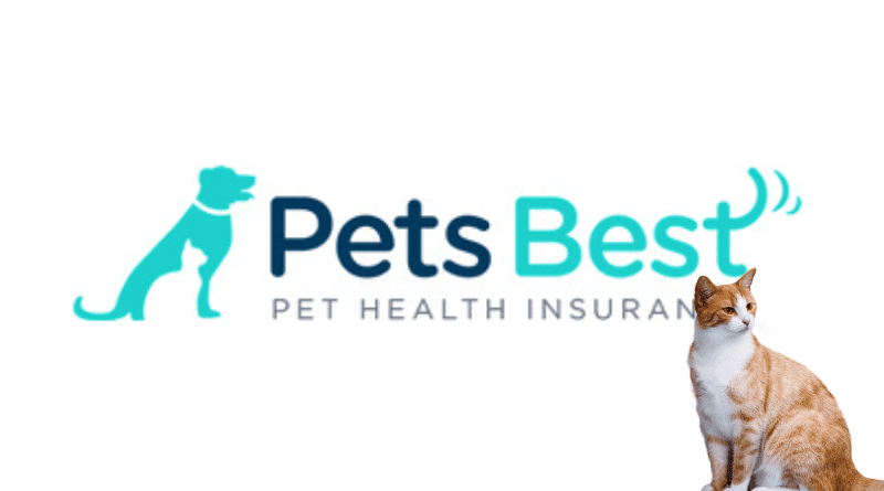 Top 10 Best Pet Insurance Companies in the USA - Pet Nutrition Guru