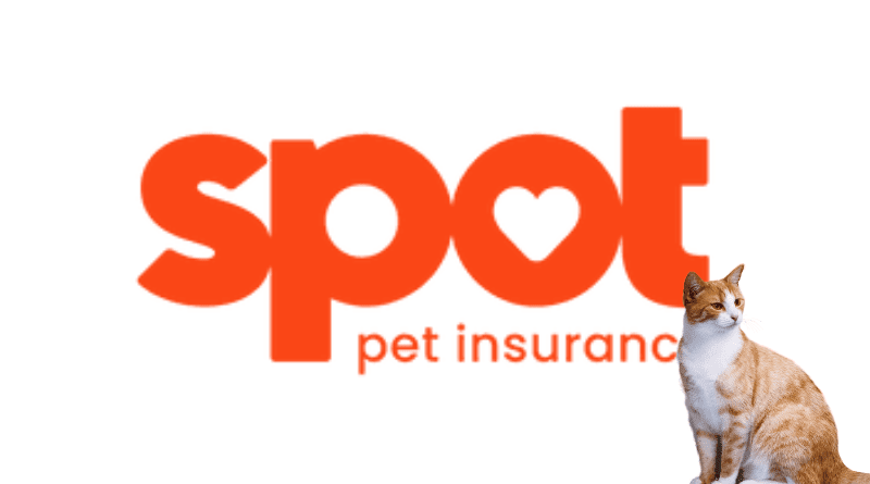 Top 10 Best Pet Insurance Companies In The USA - Pet Nutrition Guru