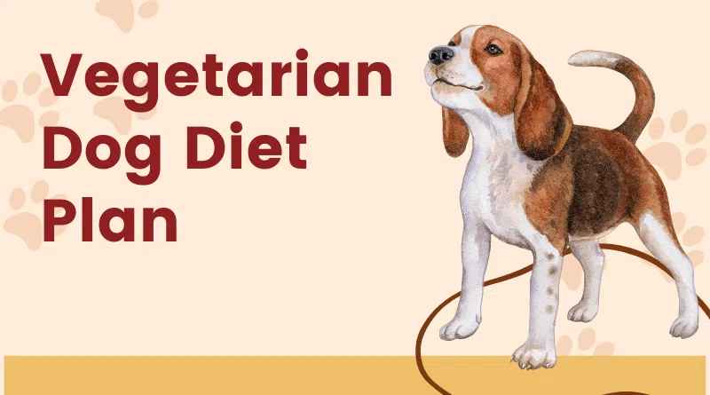 Vegetarian Dog Diet Plan