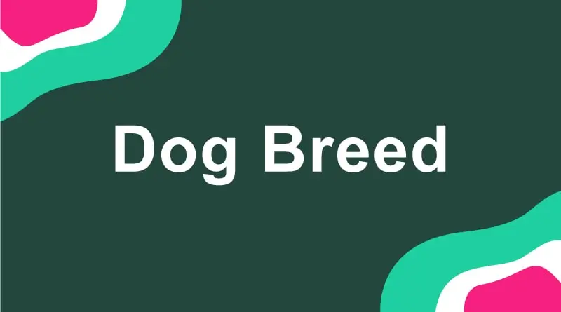 Dog Breed