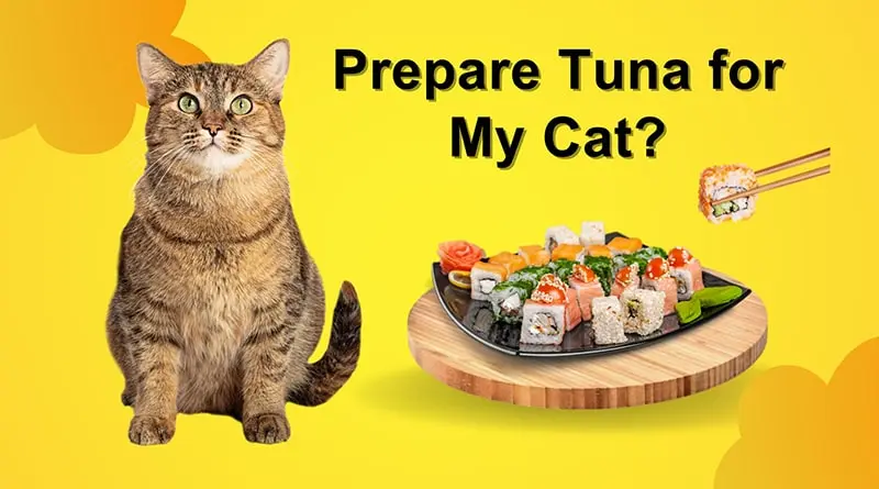 Prepare Tuna for My Cat