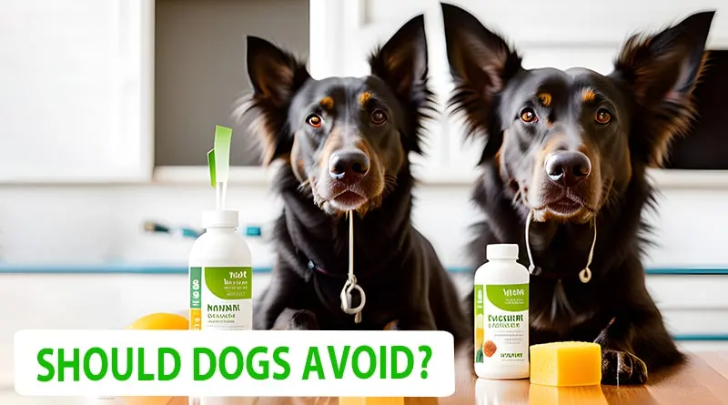 Drinks Should Dogs Avoid 