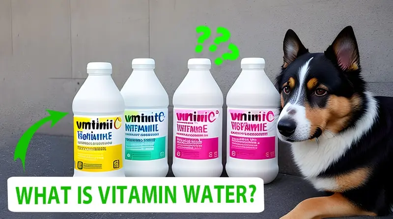 What is Vitamin Water 