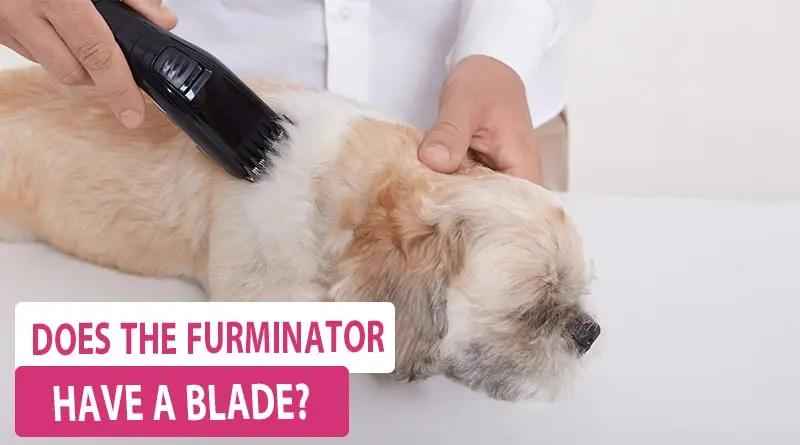 Does the Furminator have a Blade