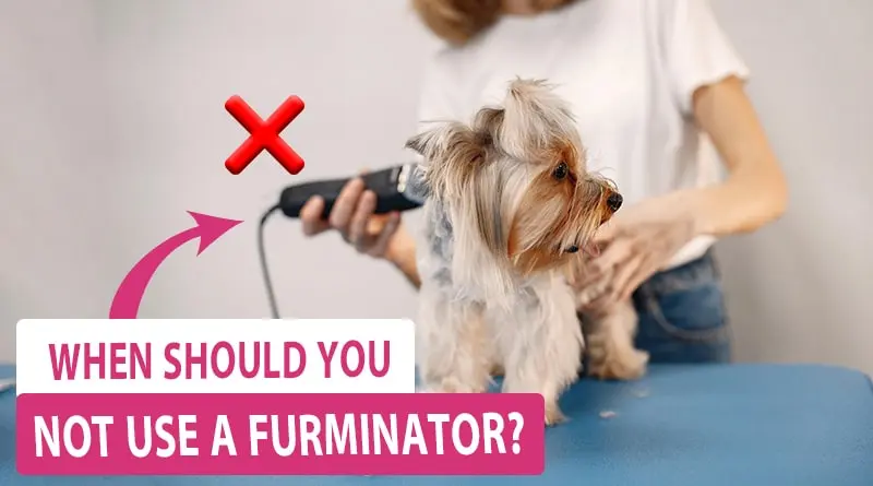 When should you not Use a Furminator