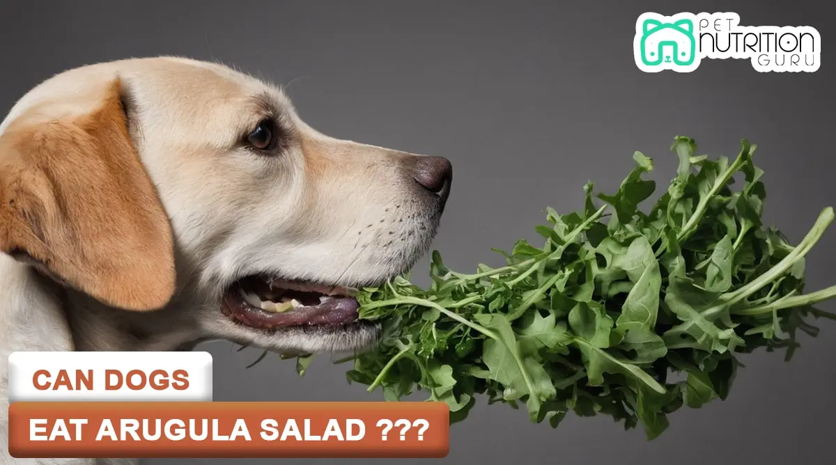 Can Dogs Eat Arugula