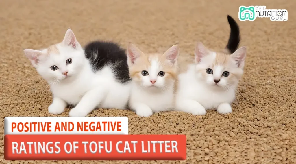 Most Common Positive and Negative Ratings of Tofu Cat Litter