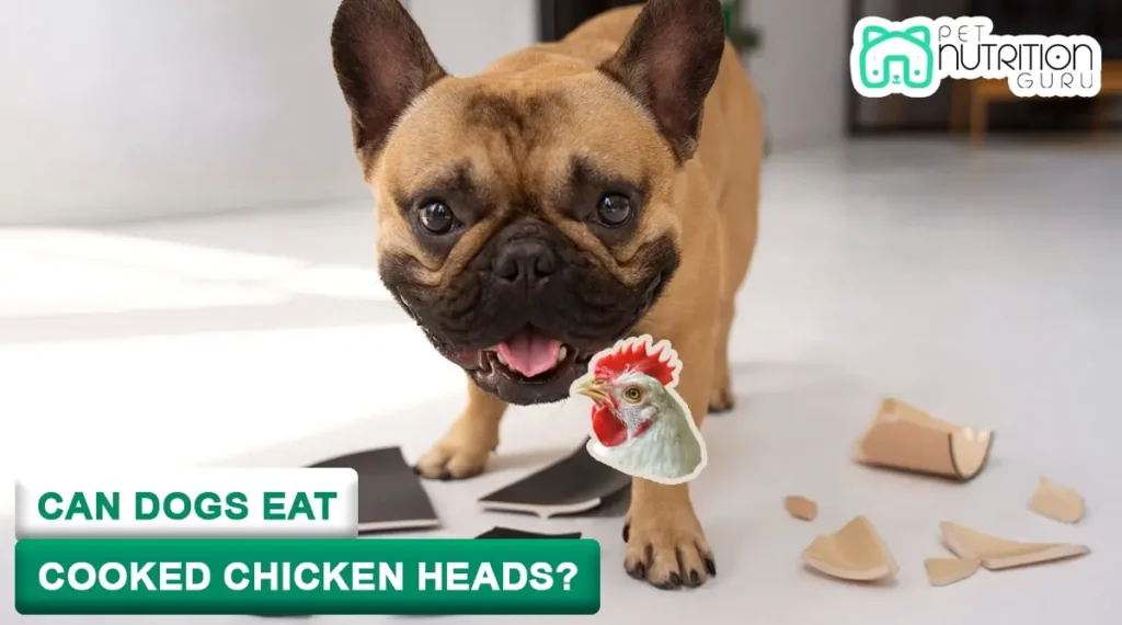 Can Dogs Eat Cooked Chicken Heads