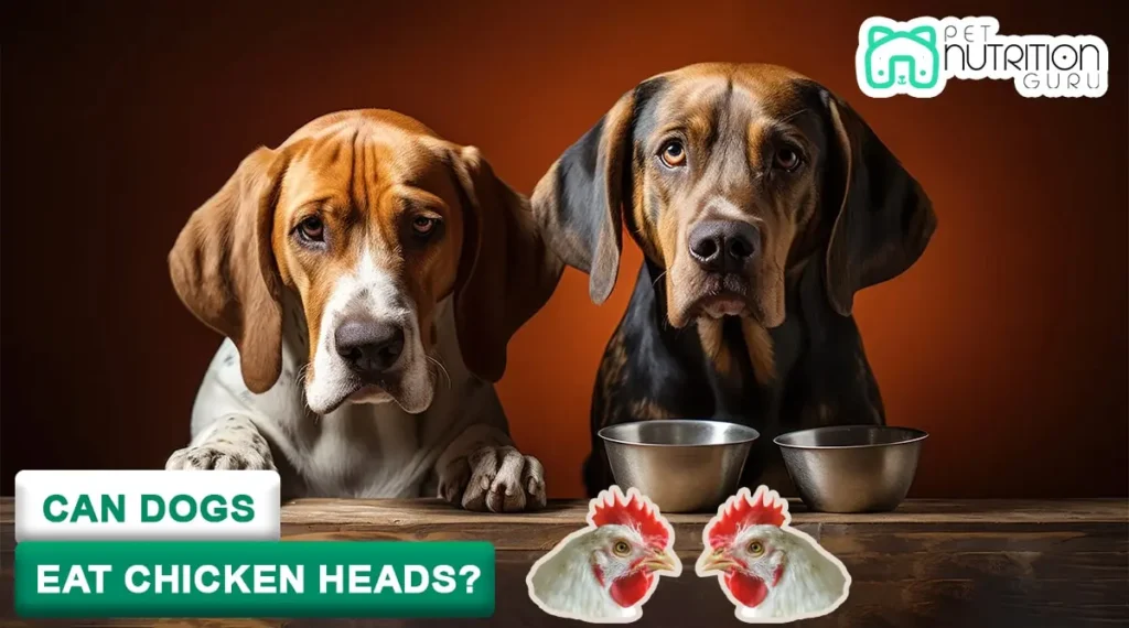 Can dogs eat Chicken heads