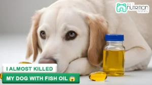 I almost killed my dog with fish oil