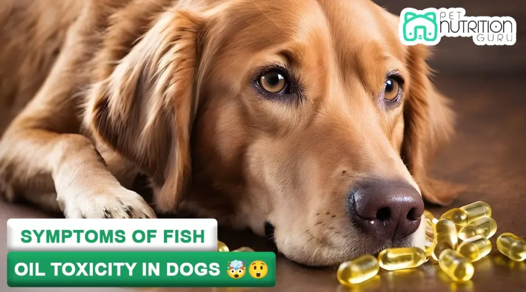 Symptoms of Fish Oil Toxicity in Dogs