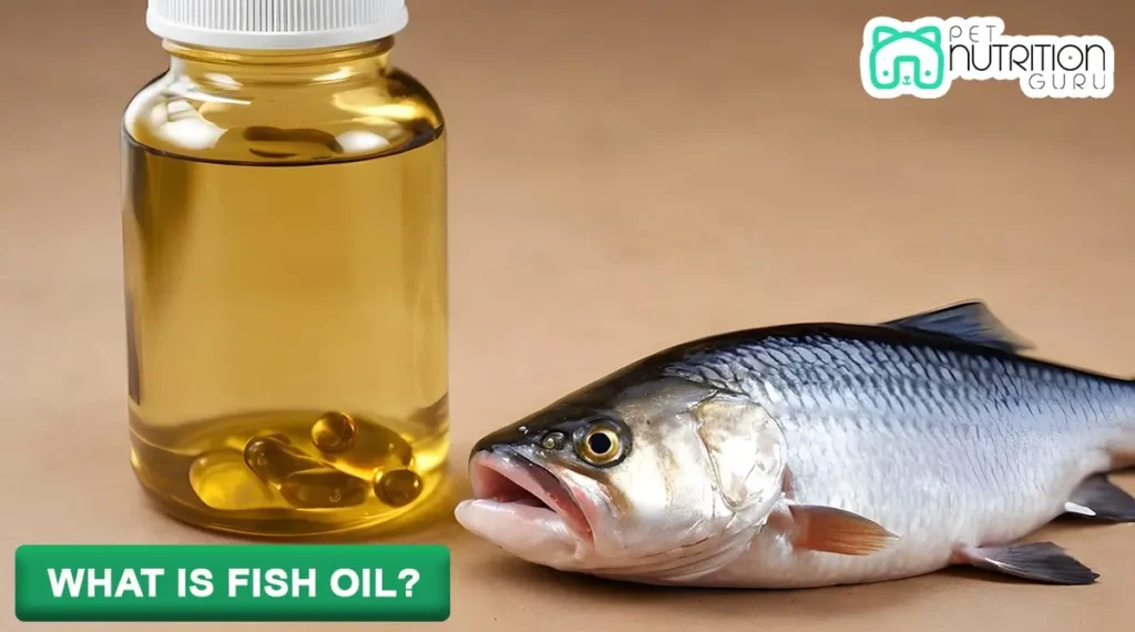 What is Fish Oil?